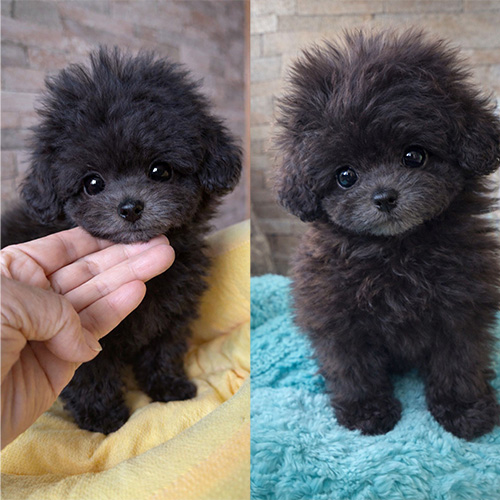 2025年10月生まれの男の子②