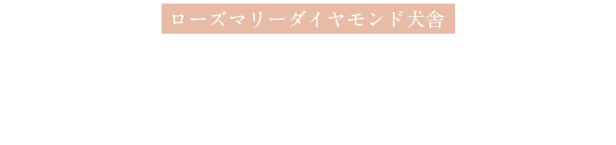 あなたとトイプードルとの素敵な関係を