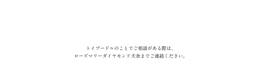 子犬のことでご相談がある際は、ローズマリーダイヤモンド犬舎までご連絡ください。