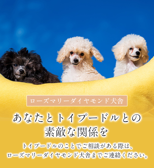 ローズマリーダイヤモンド犬舎